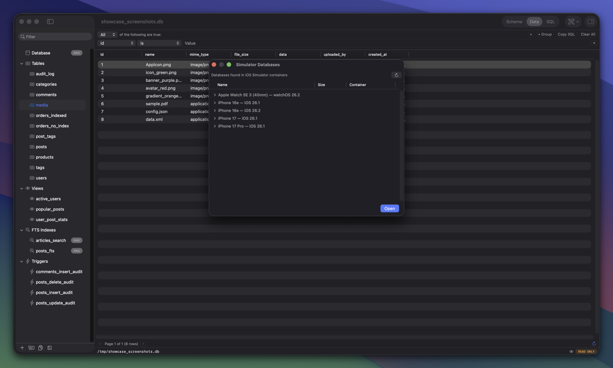 Simulator browser — auto-detected iOS app databases organized by simulator and app